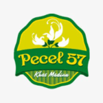 Logo Perusahaan Pecel 57 - Lowongan Social Media Specialist – Staff Dapur – Staff Outlet Plaza Ambarrukmo