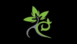 Logo Perusahaan CV Natural Care - Lowongan Kerja Therapist